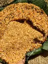 Cơm Cháy Đáy Nồi Mắm Hành 500G /Rice Cracker with Onion