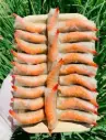 Chả Ram Tôm Đất 500G /Prawn Springroll
