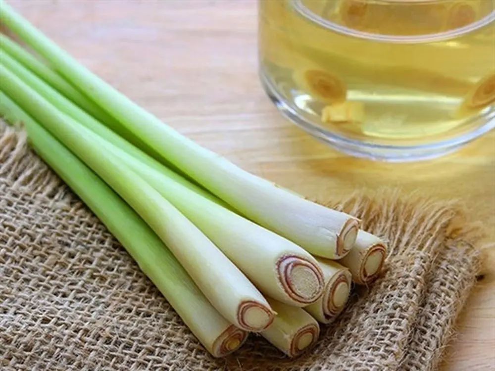 Sả Cây 500G /Lemon Grass Stick