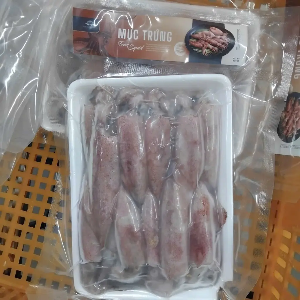 Mực Trứng 500g /Fresh Squid