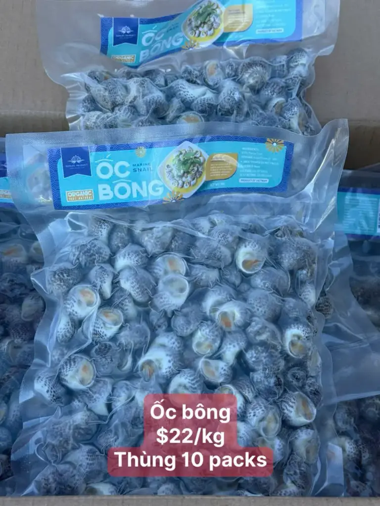 [SL-OBO-1K] Ốc Bông 1Kg /Marine Snail