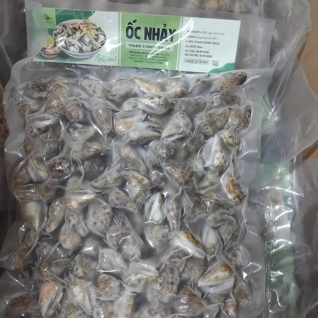 Ốc Nhảy 1Kg /Tiger Conch Snail