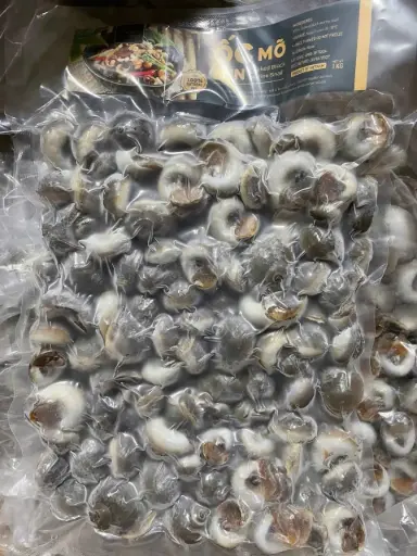 [SL-OMD-1K] Ốc Mỡ Đen 1Kg /Black Marine Snail