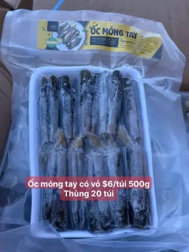 [SL-OMT-400] Ốc Móng Tay Nguyên Vỏ 400g /Frozen Razor Clams