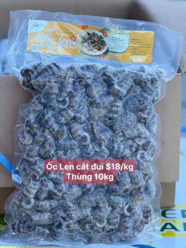 [SL-OLCD-1K] Ốc Len Cắt Đuôi 1Kg /Blunt Mud Creeper