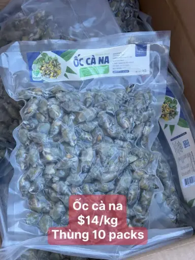 [SL-OCN-1K] Ốc Cà Na 1Kg /Marine Snail