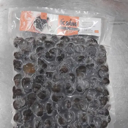 [SL-ODA-1K] Ốc Đắng 1Kg /Marine Snail